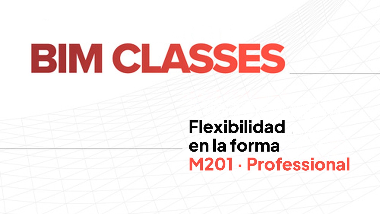 M201 - FLEXIBILIDADE NA FORMA